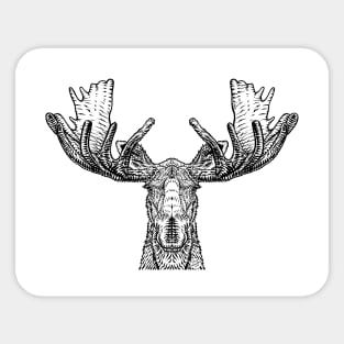 MOOSE in black and white Sticker